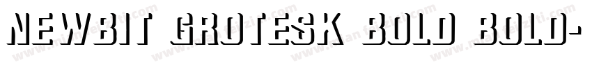 Newbit Grotesk Bold Bold字体转换